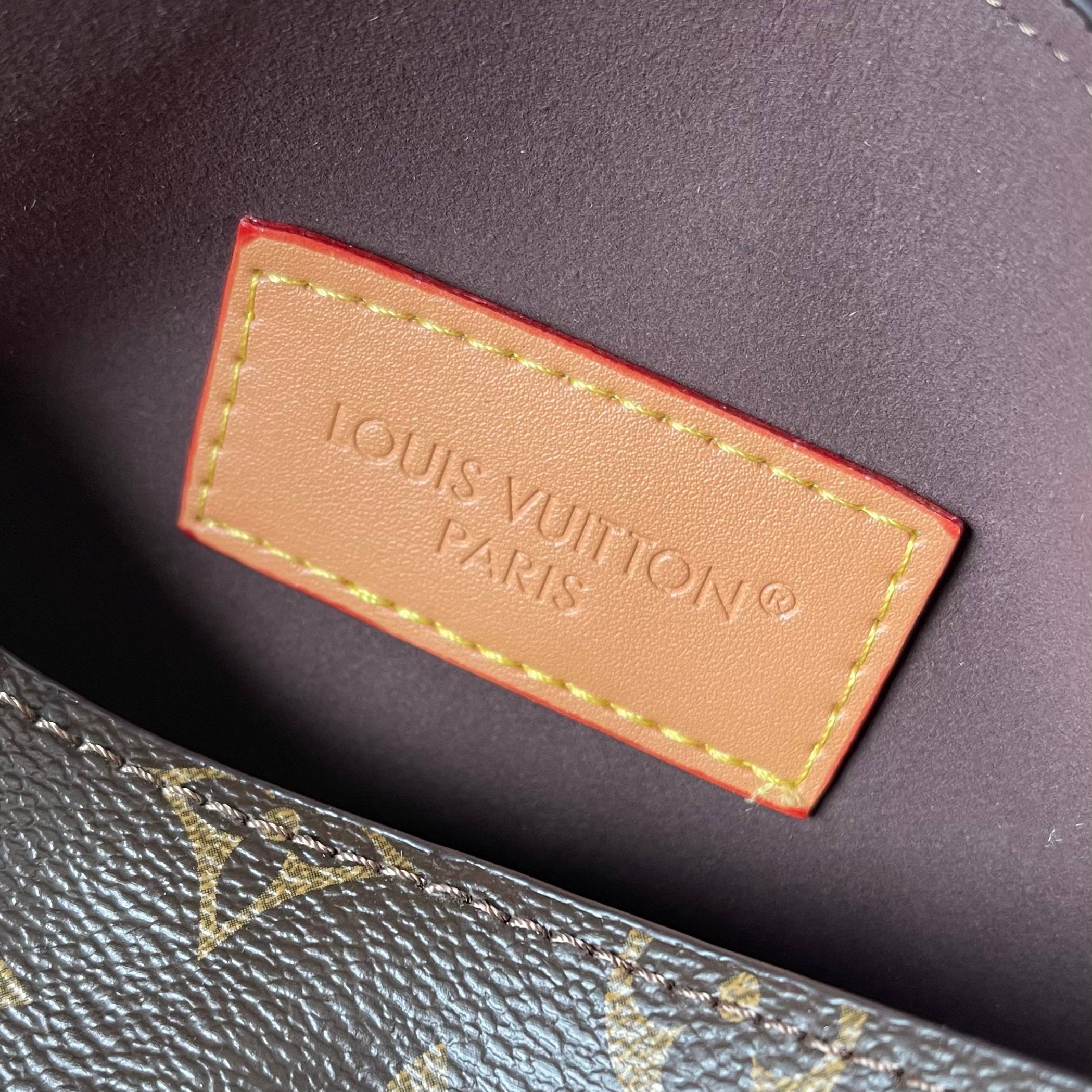 New Luxury LV Bag 10679