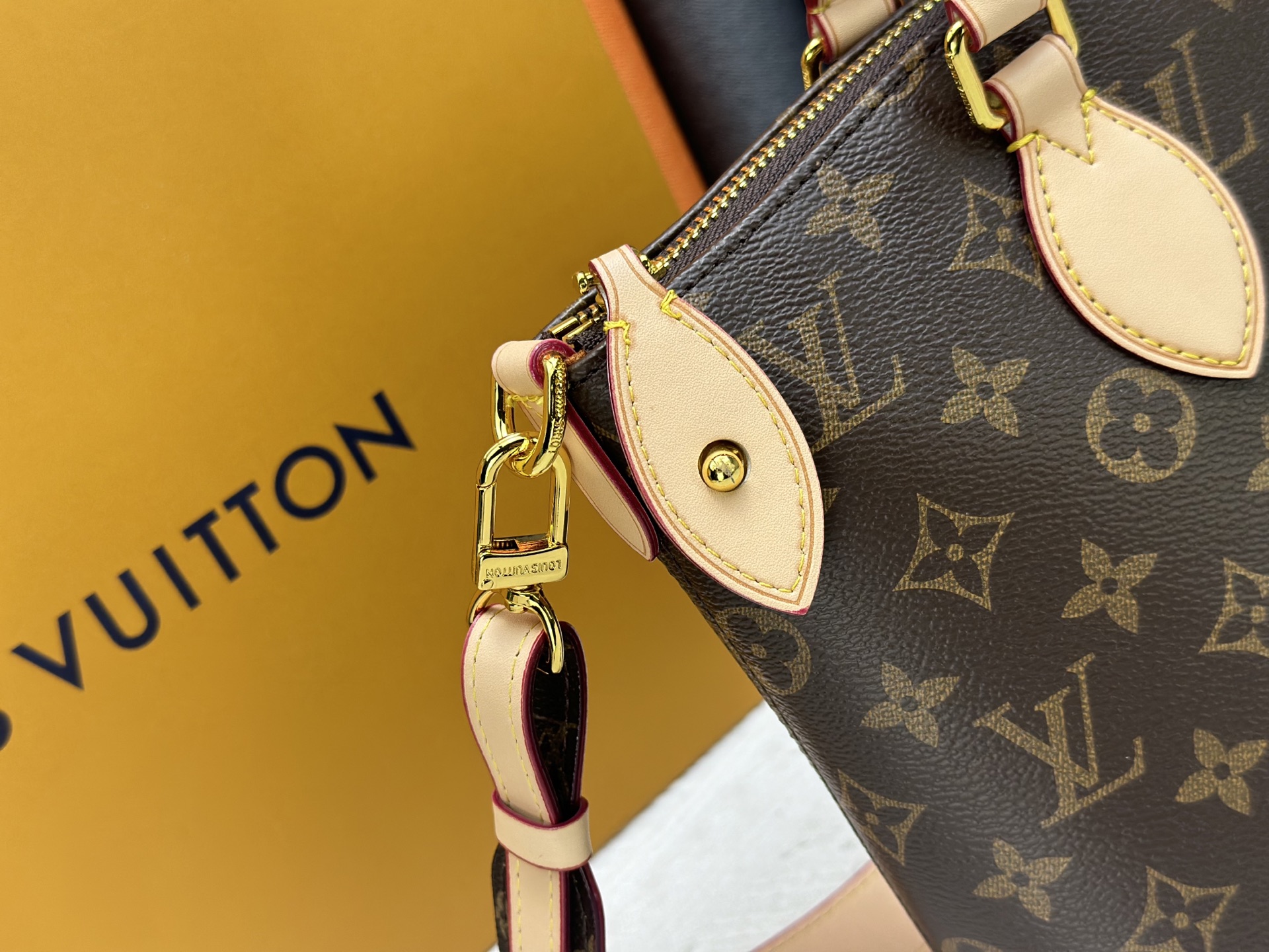 New Luxury LV Bag 10698