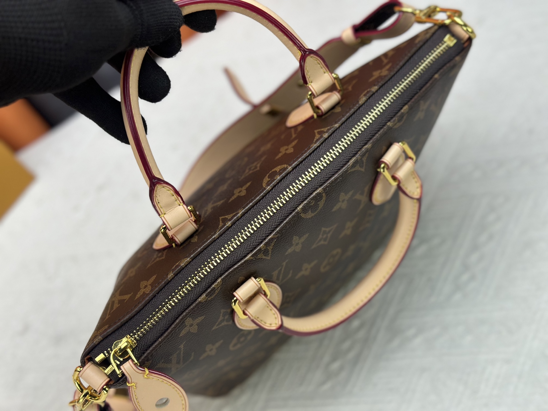 New Luxury LV Bag 10698