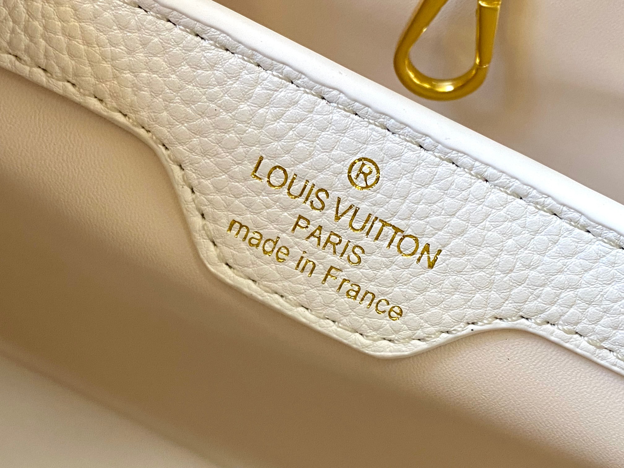 New Luxury LV Bag 10727