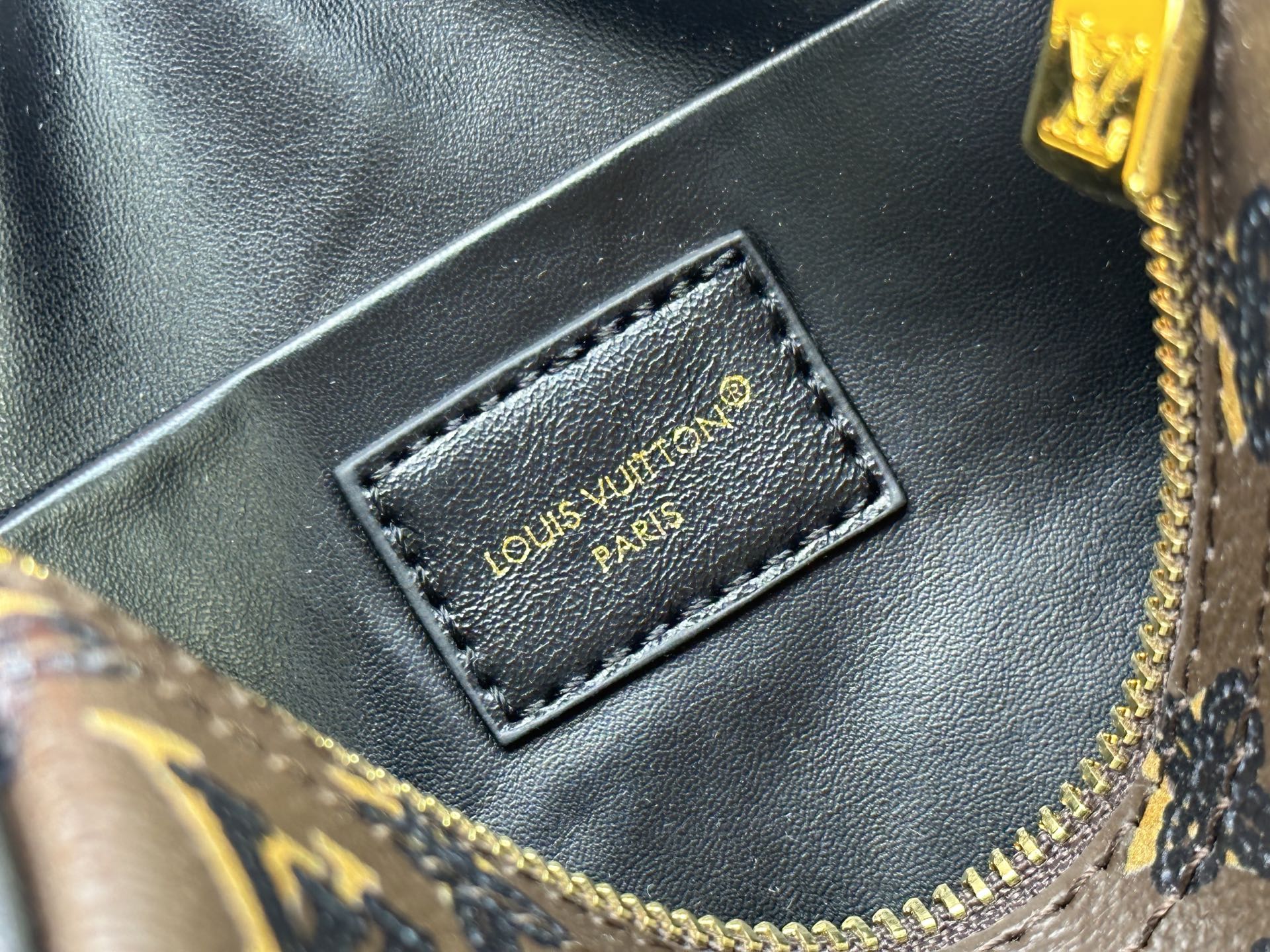 New Luxury LV Bag 10745