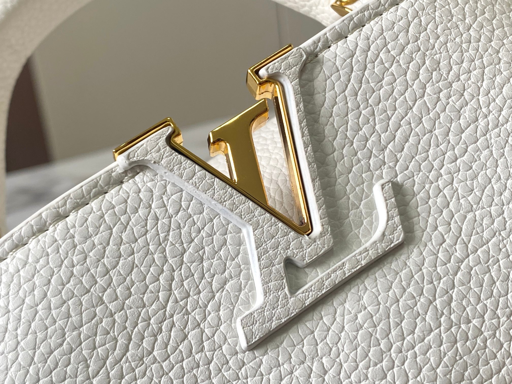 New Luxury LV Bag 10791