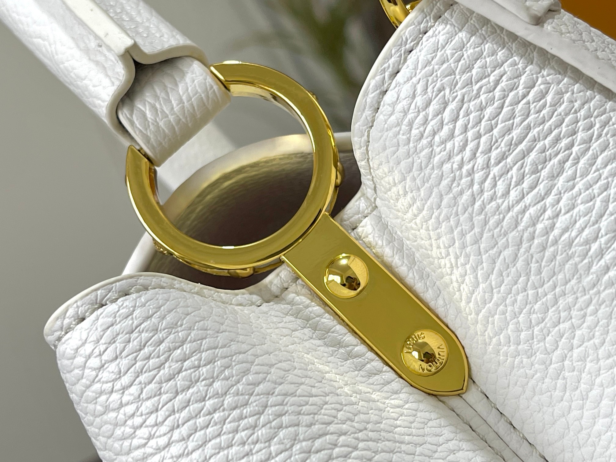 New Luxury LV Bag 10830