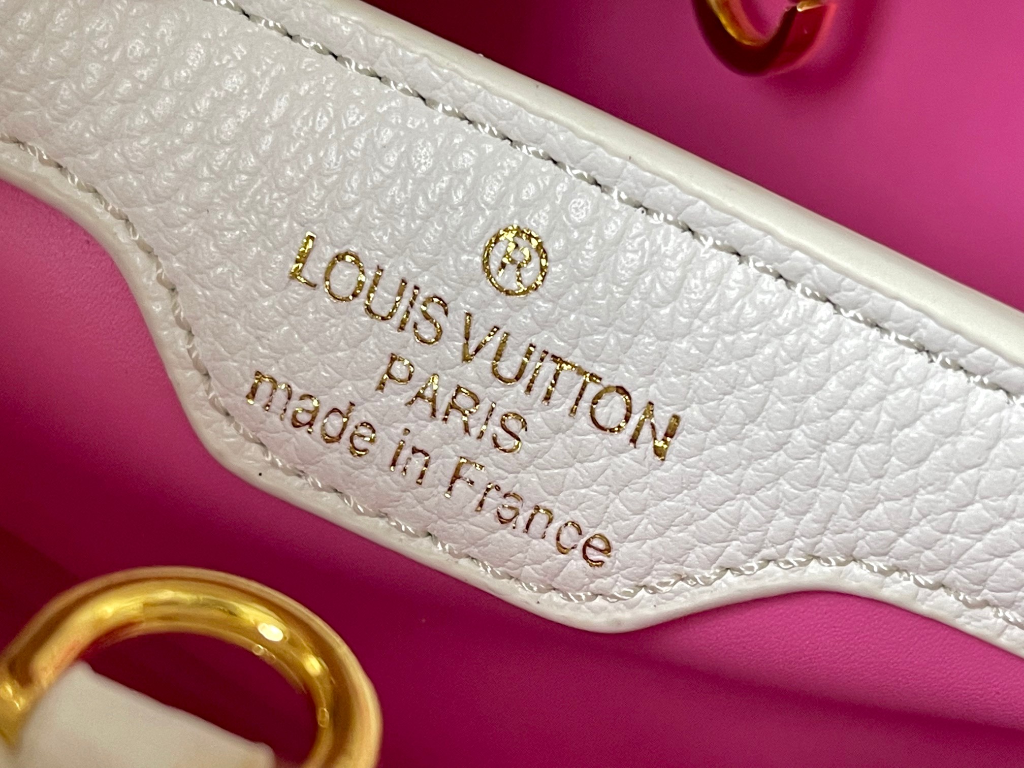 New Luxury LV Bag 10830