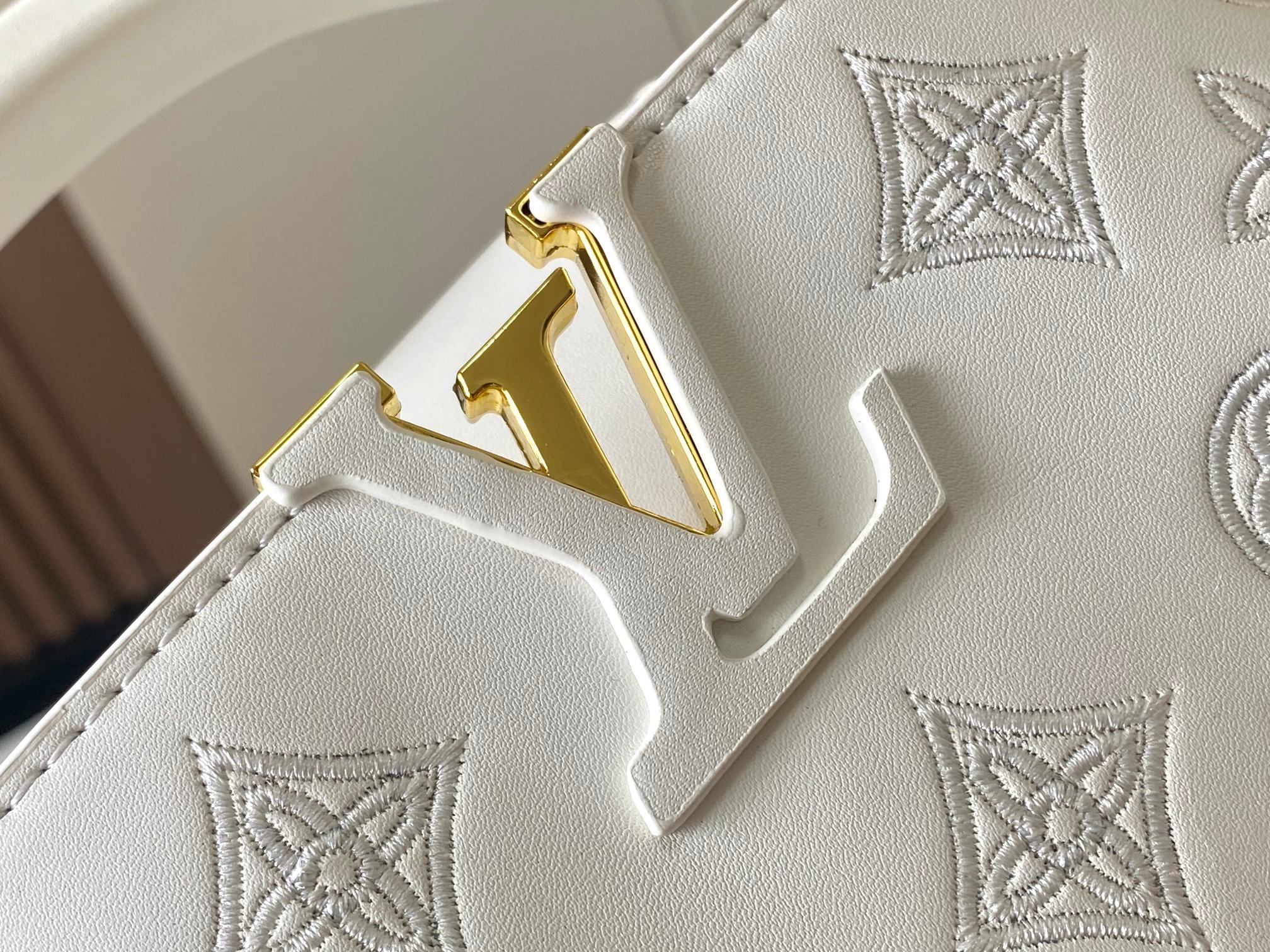 New Luxury LV Bag 10844