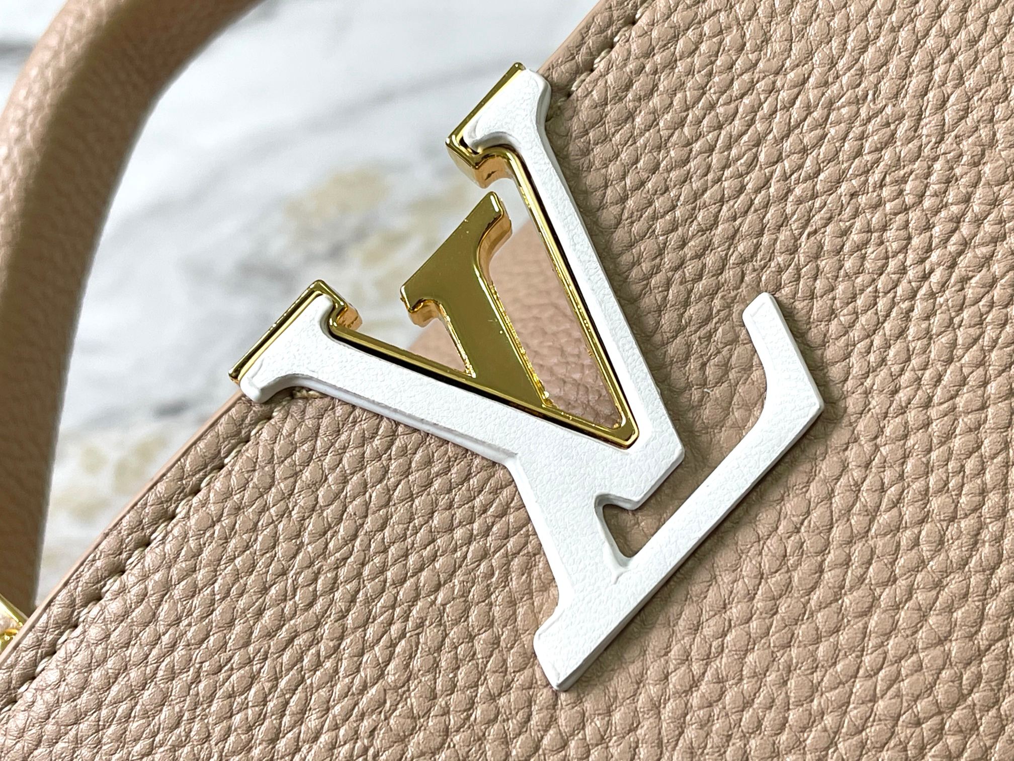 New Luxury LV Bag 10848