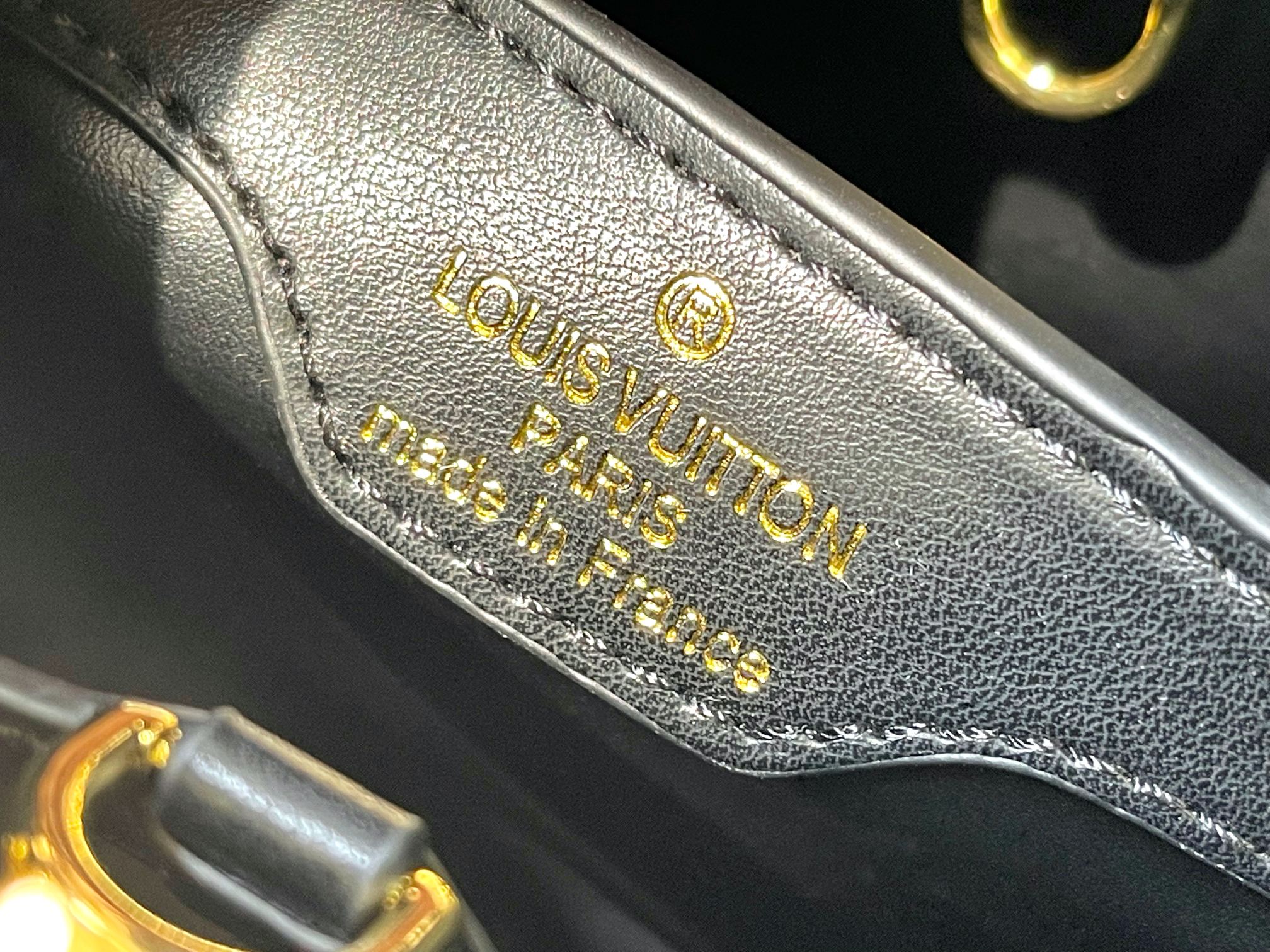 New Luxury LV Bag 10851