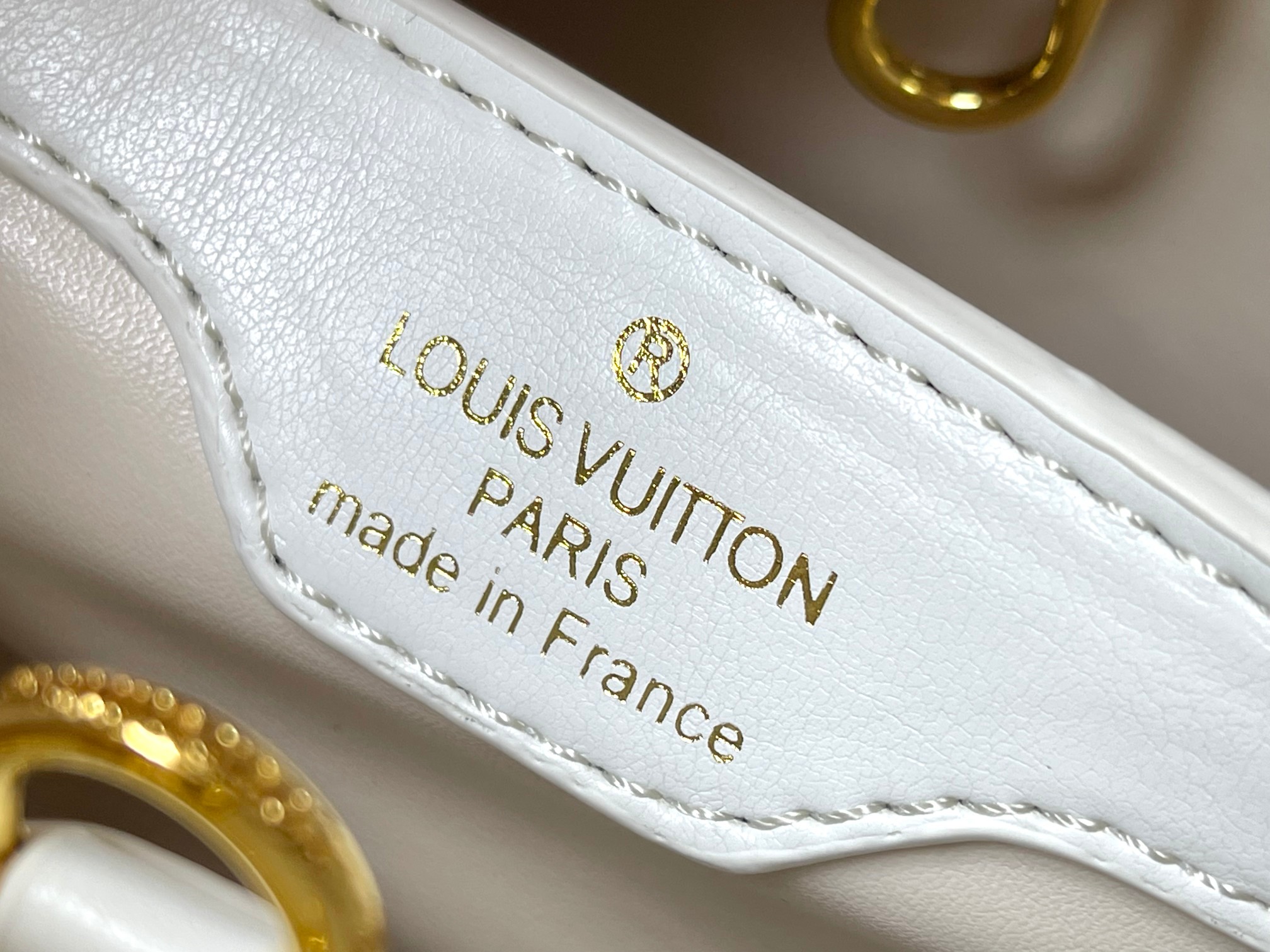 New Luxury LV Bag 10855