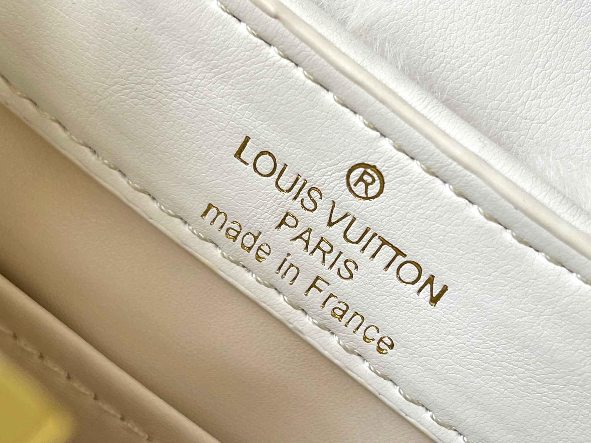 New Luxury LV Bag 10856