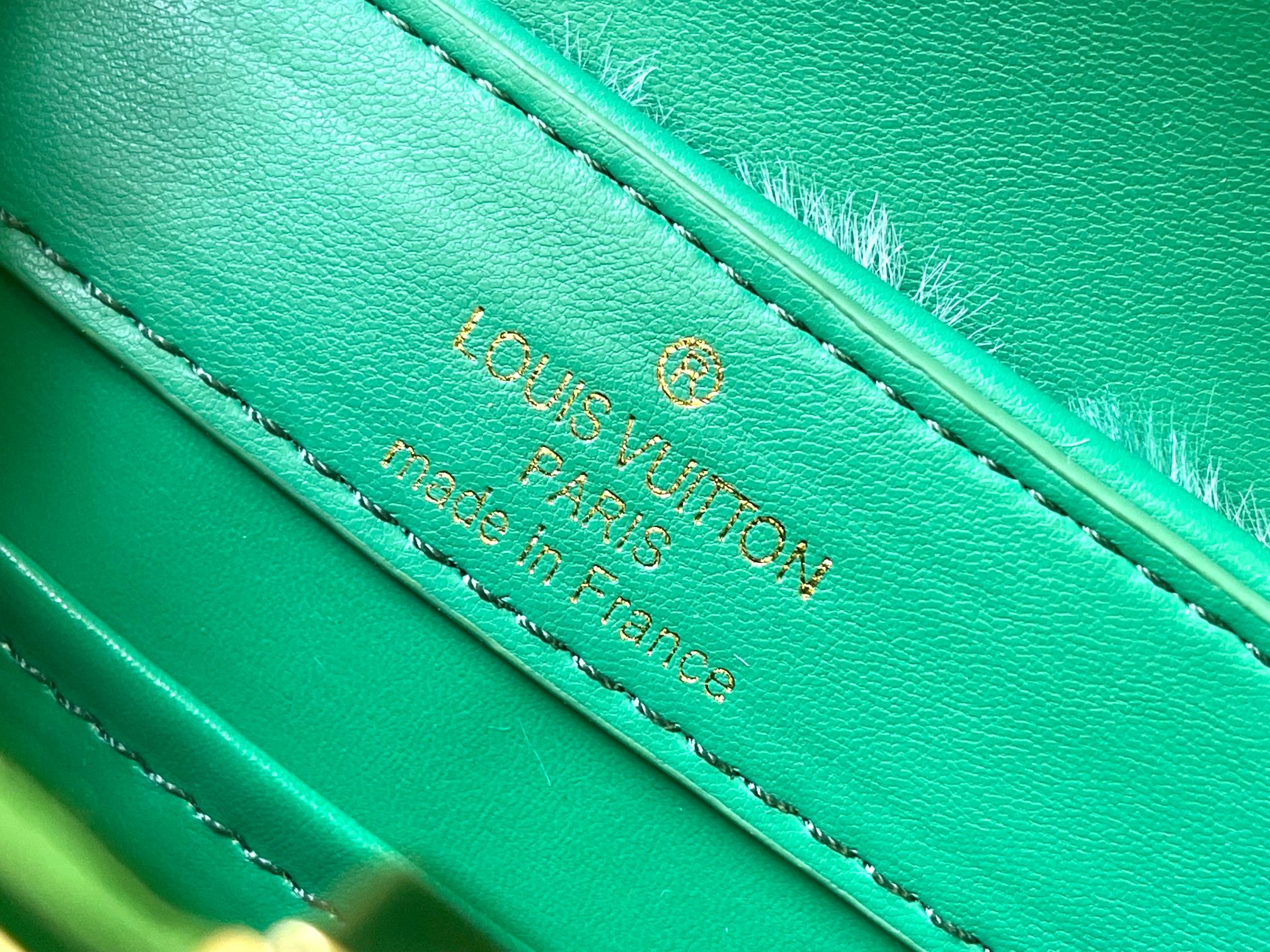 New Luxury LV Bag 10860