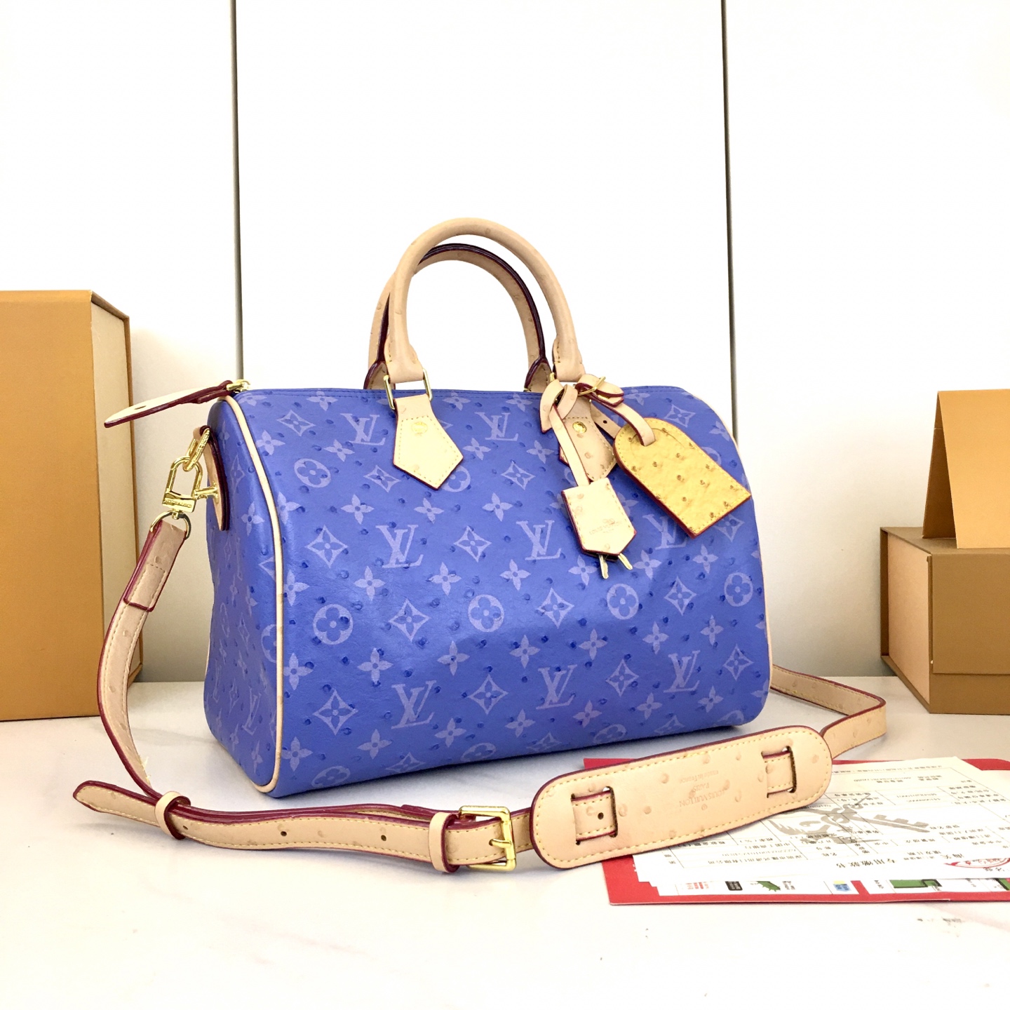 New Luxury LV Bag 10880