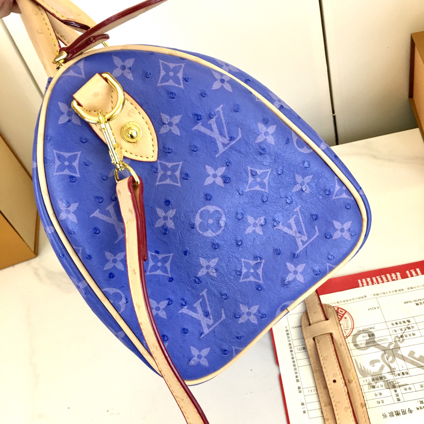 New Luxury LV Bag 10880