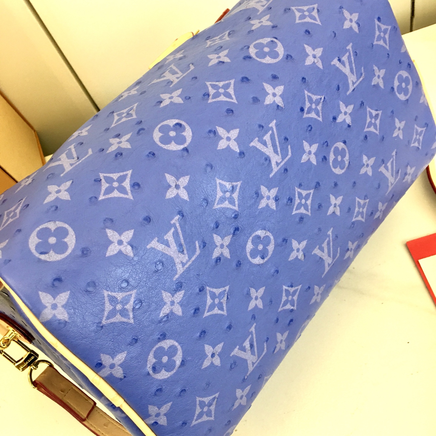 New Luxury LV Bag 10880