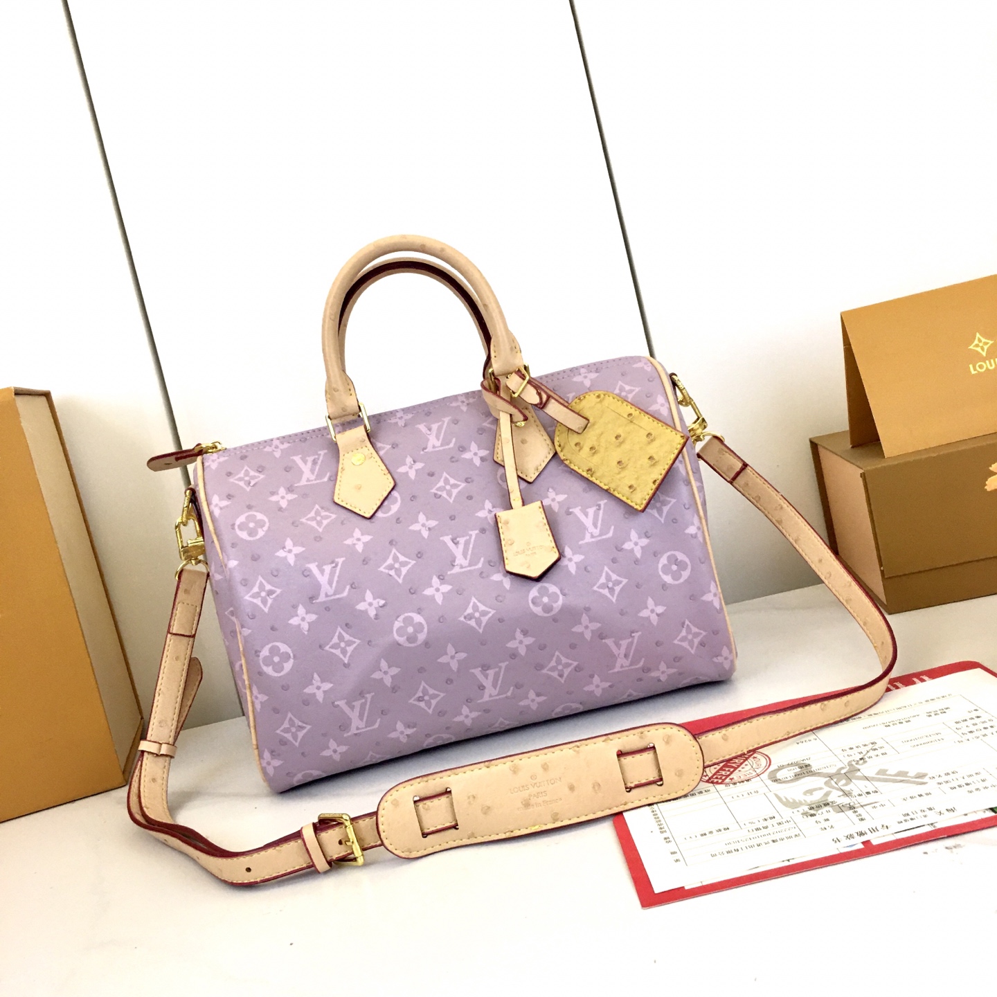 New Luxury LV Bag 10881