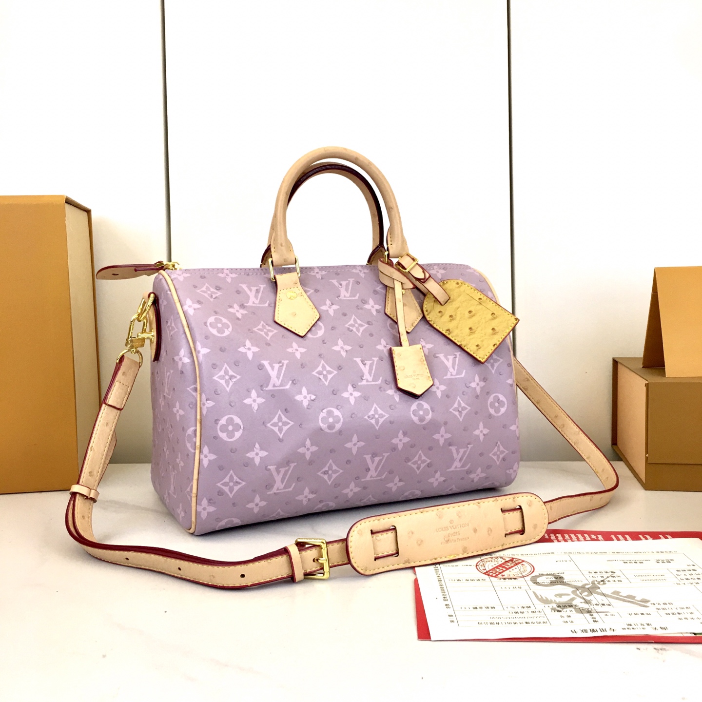 New Luxury LV Bag 10881