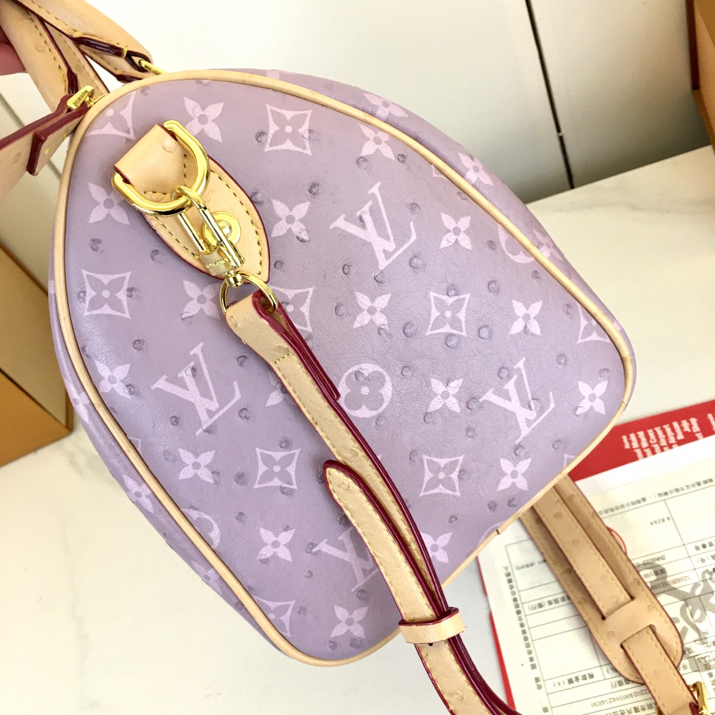 New Luxury LV Bag 10881