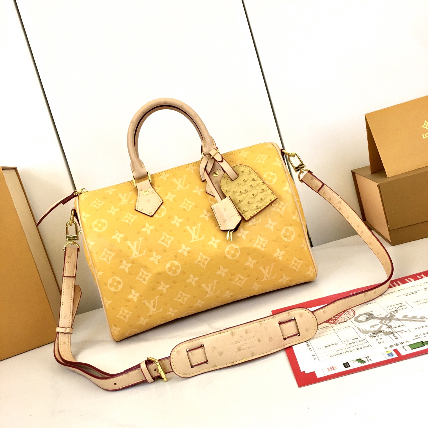 New Luxury LV Bag 10882