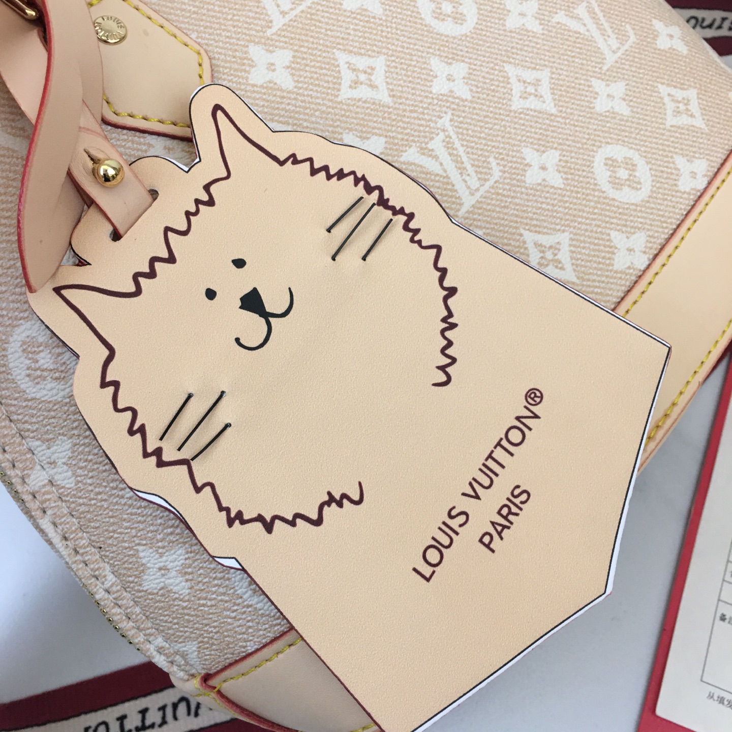 New Luxury LV Bag 10889