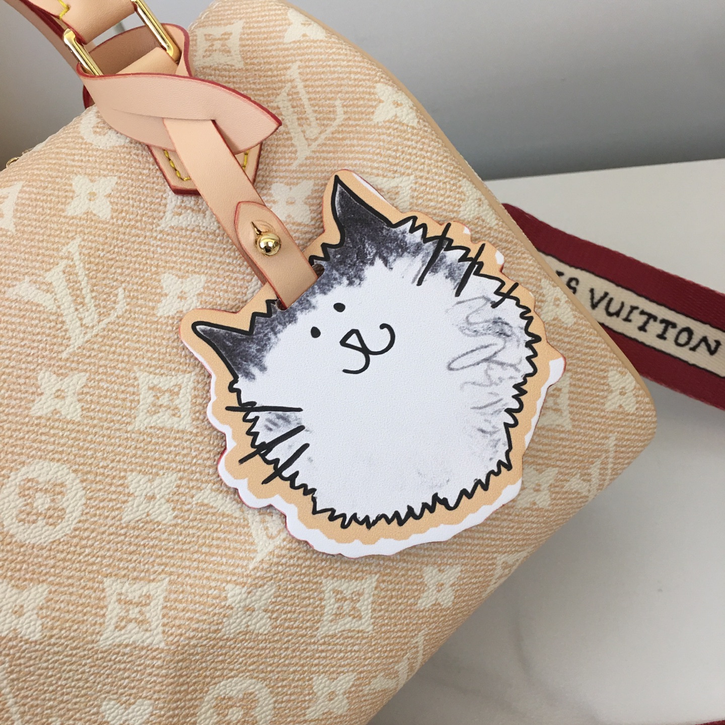 New Luxury LV Bag 10894