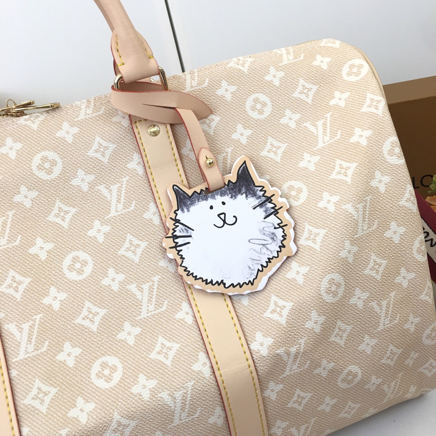 New Luxury LV Bag 10895