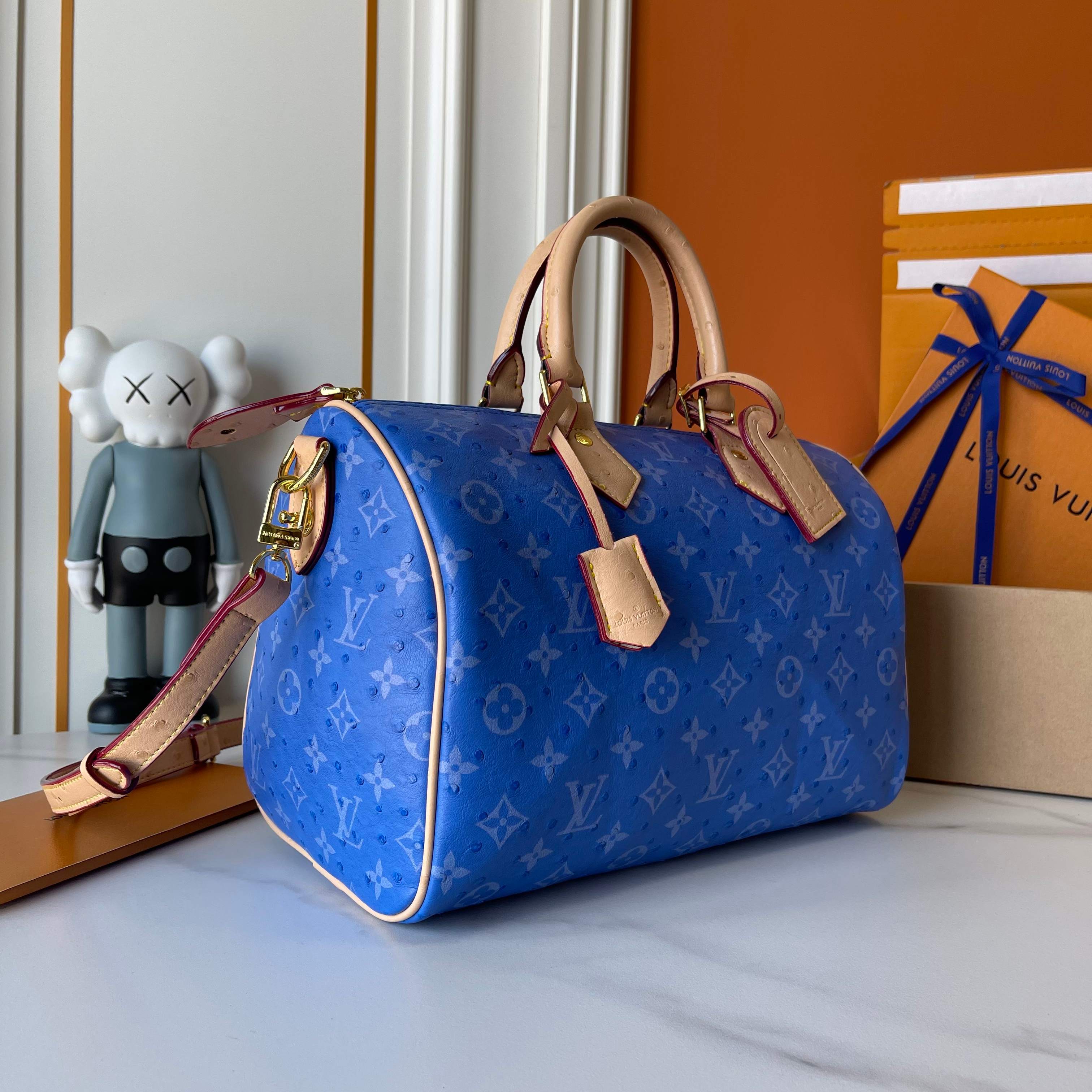 New Luxury LV Bag 11081