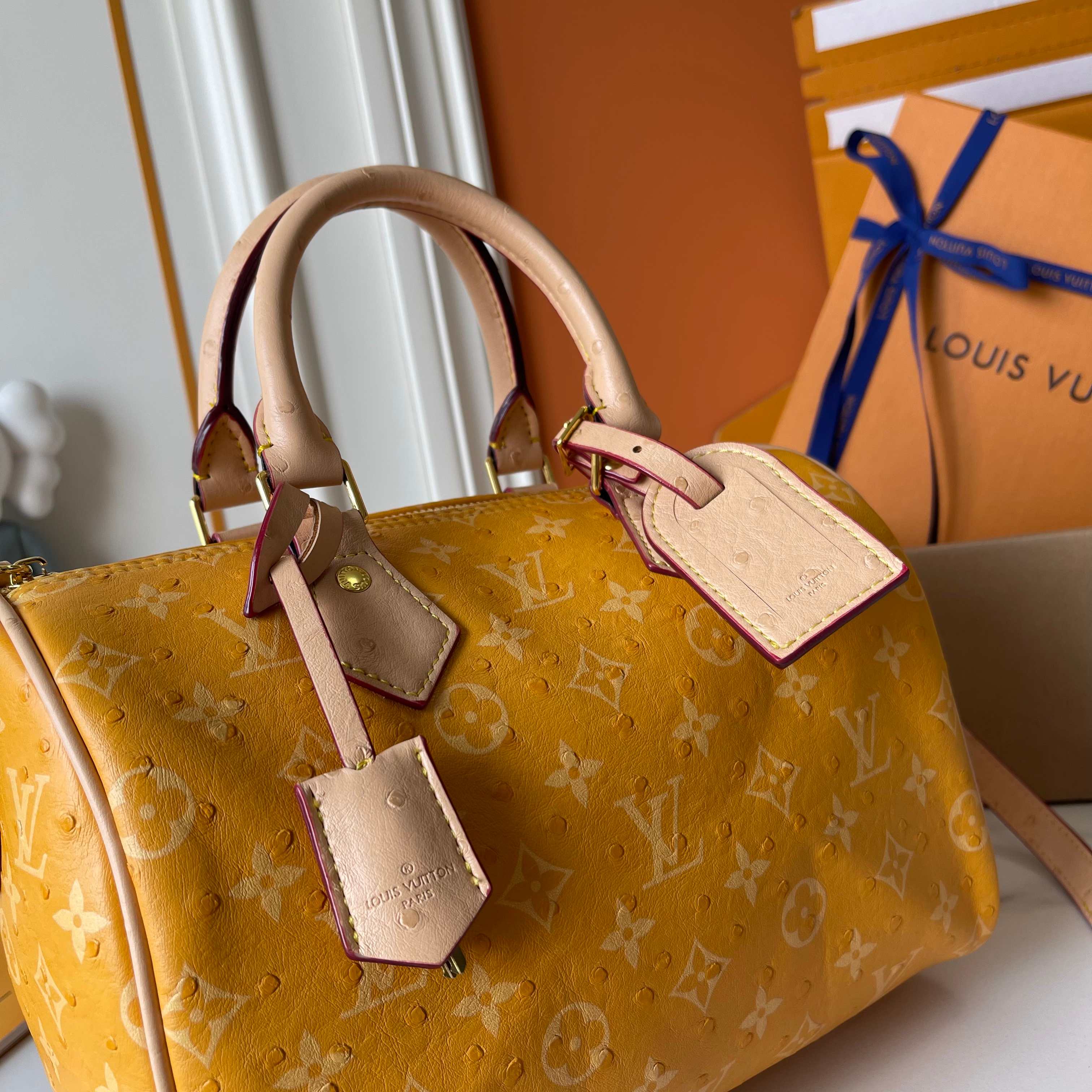 New Luxury LV Bag 11087