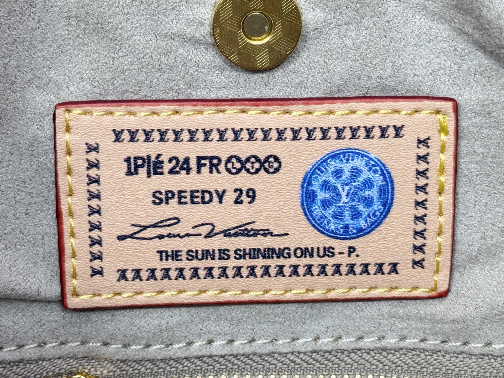 New Luxury LV Bag 11099