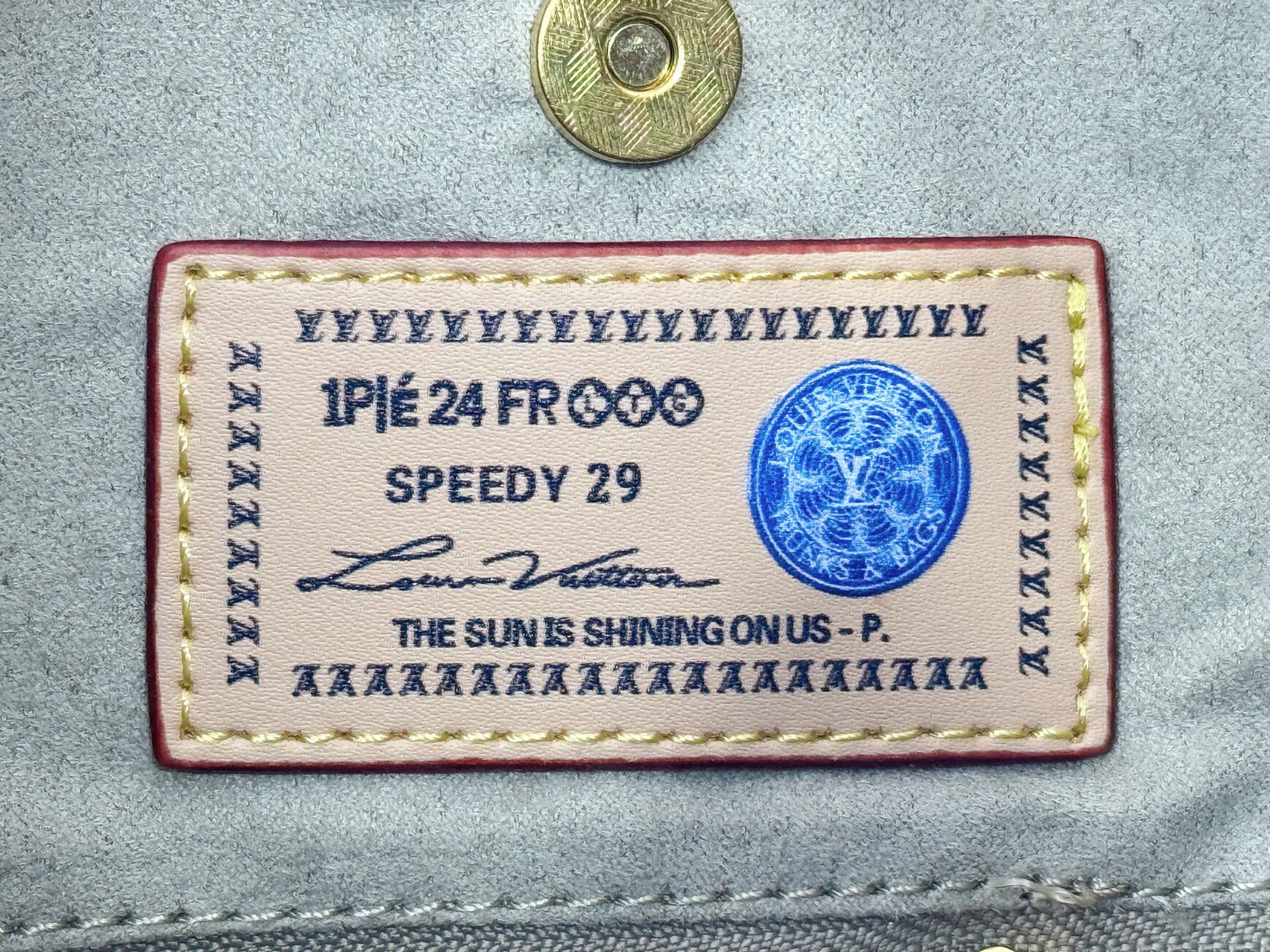 New Luxury LV Bag 11100