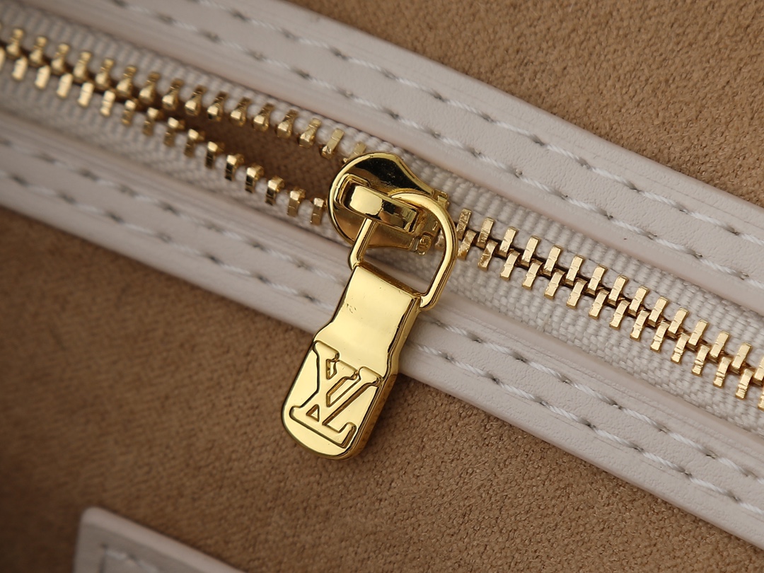 New Luxury LV Bag 11101