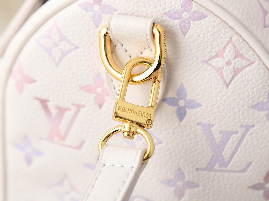 New Luxury LV Bag 11101