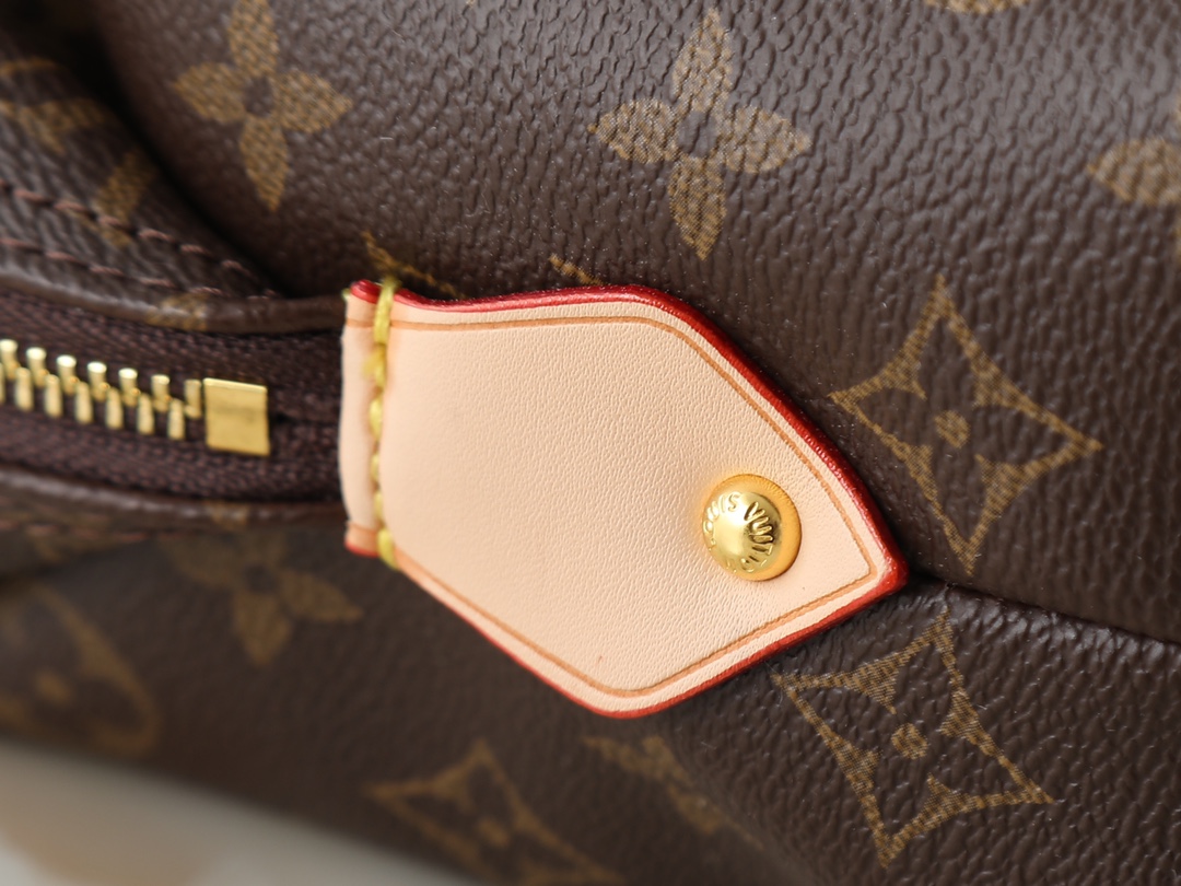 New Luxury LV Bag 11103