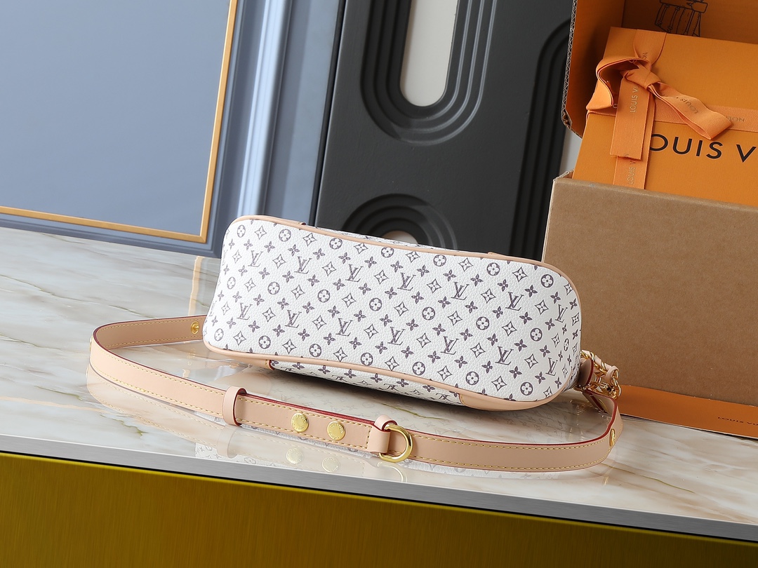 New Luxury LV Bag 11195