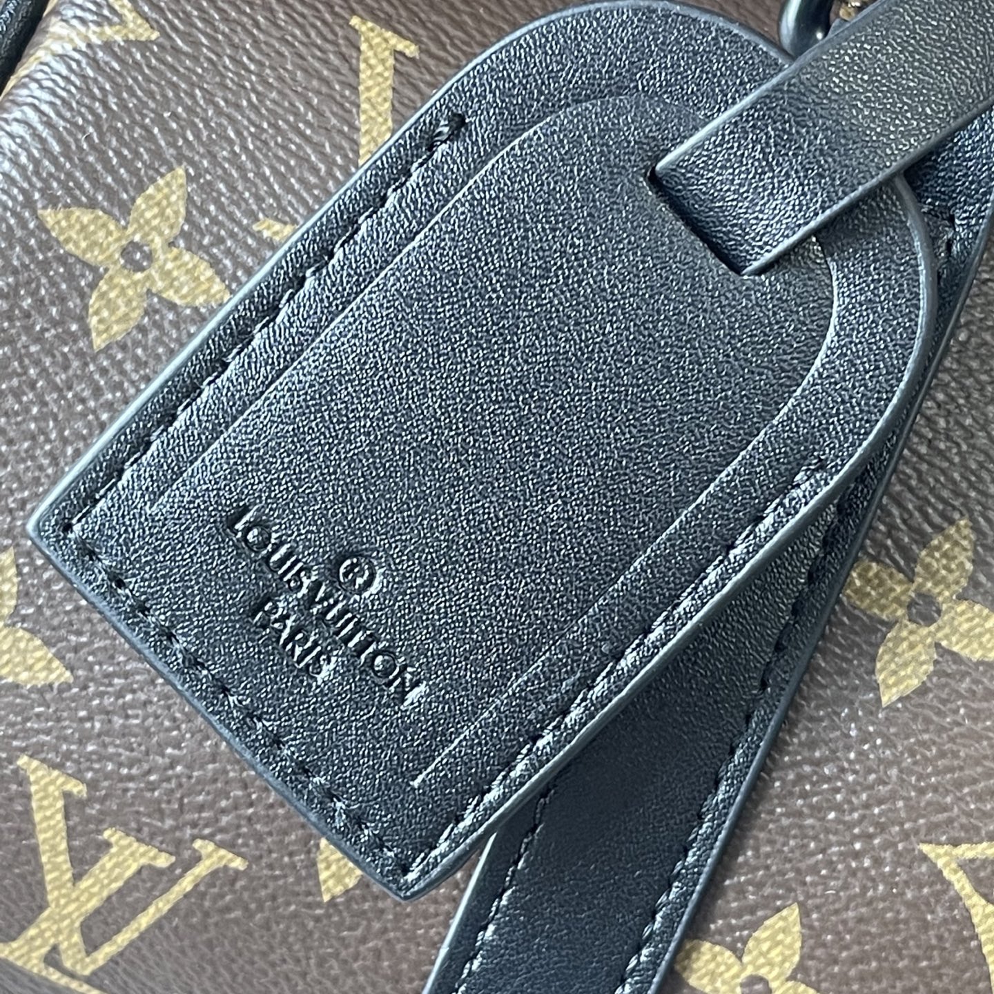 New Luxury LV Bag 11541