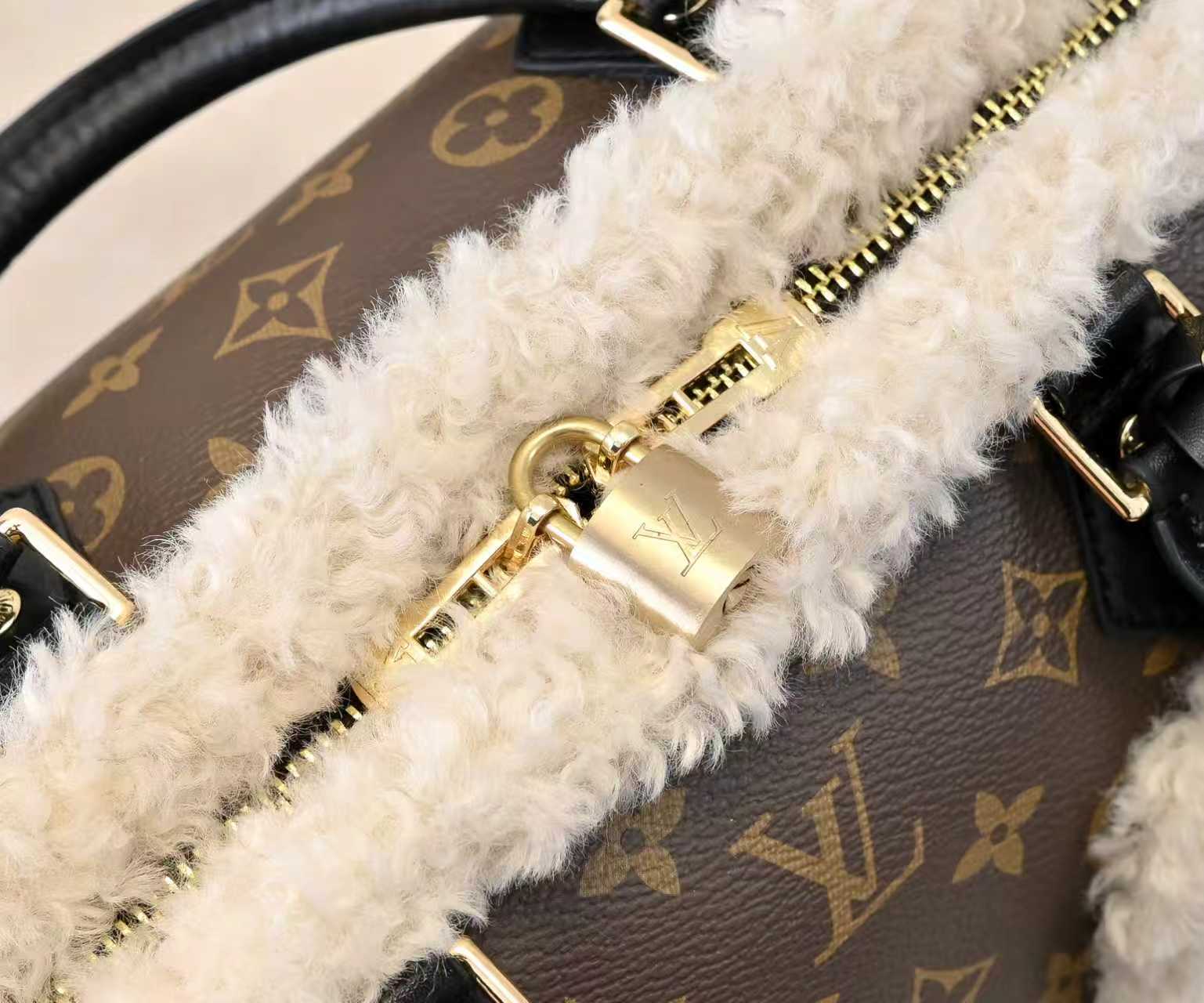 New Luxury LV Bag 9813