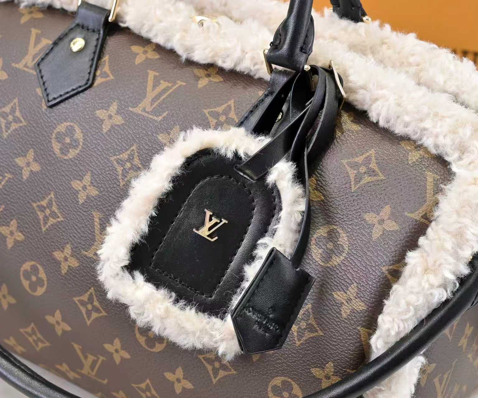 New Luxury LV Bag 9813