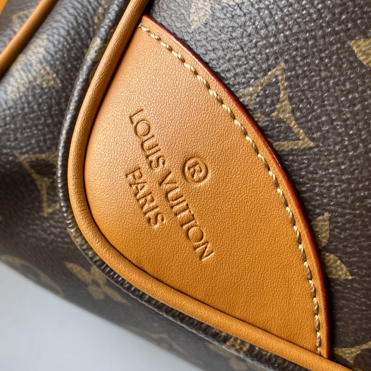 New Luxury LV Bag 9838