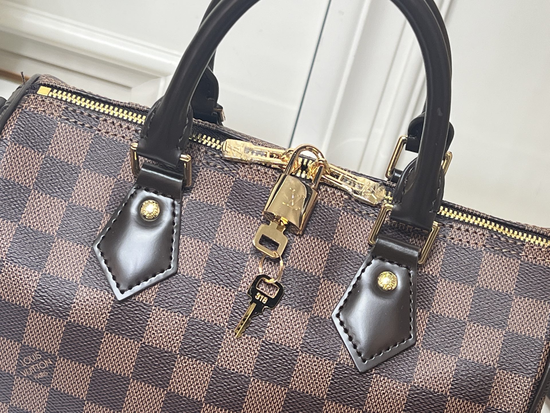 New Luxury LV Bag 9873