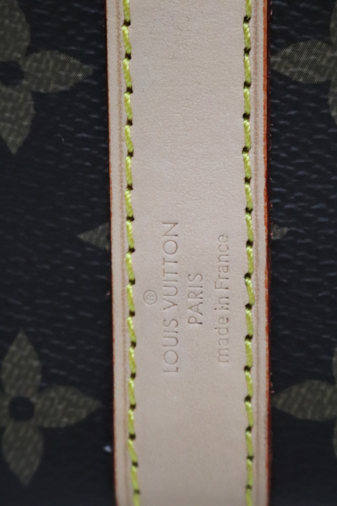 New Luxury LV Bag 9895