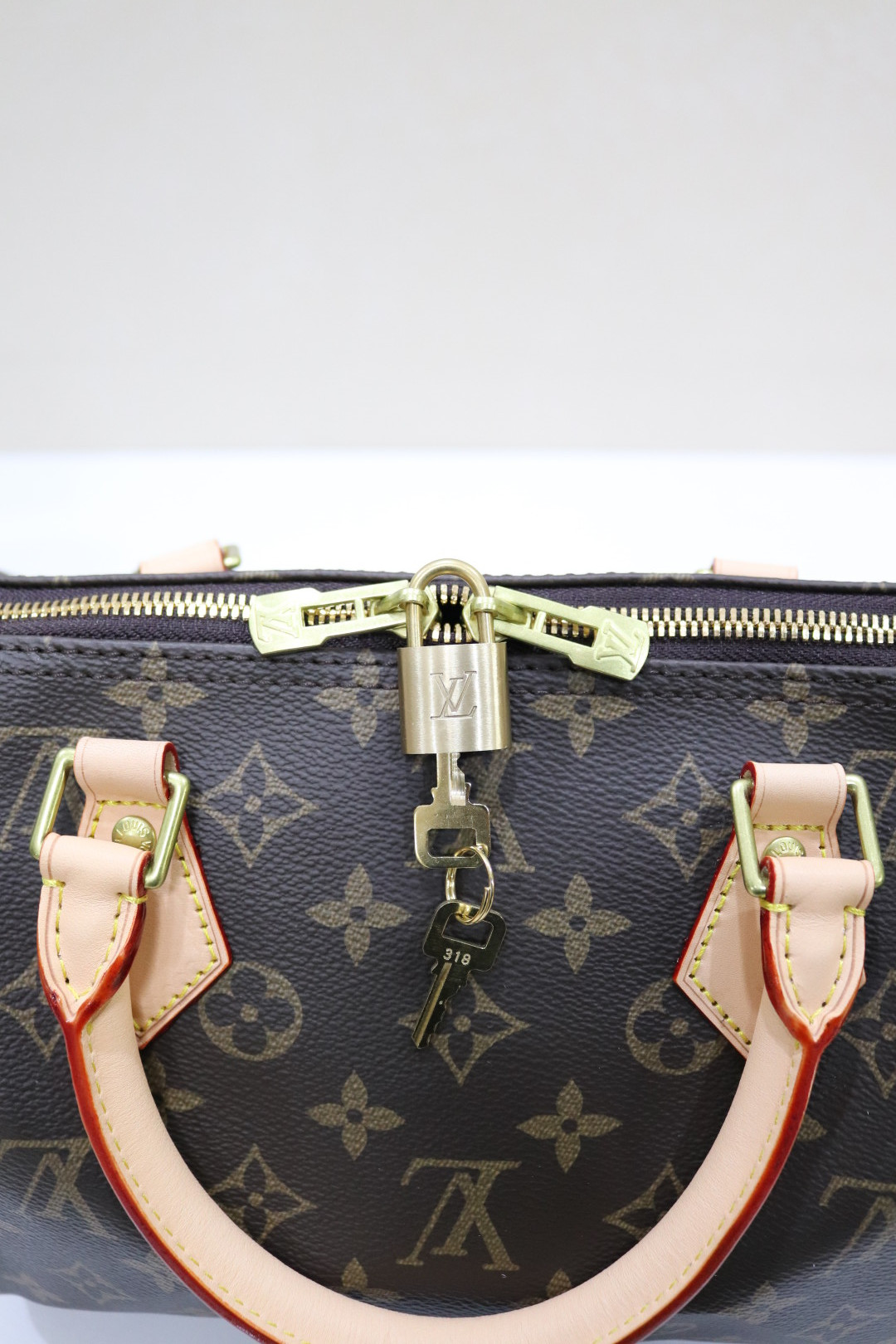 New Luxury LV Bag 9896