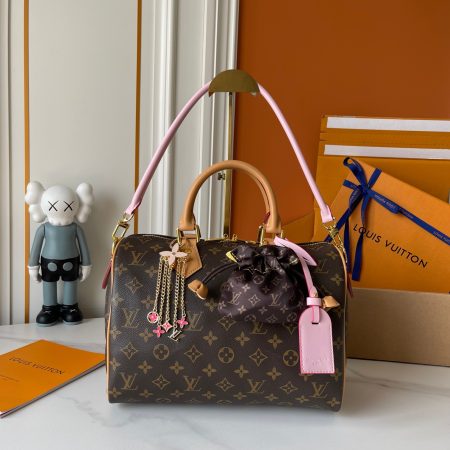 New Luxury LV Bag 9910