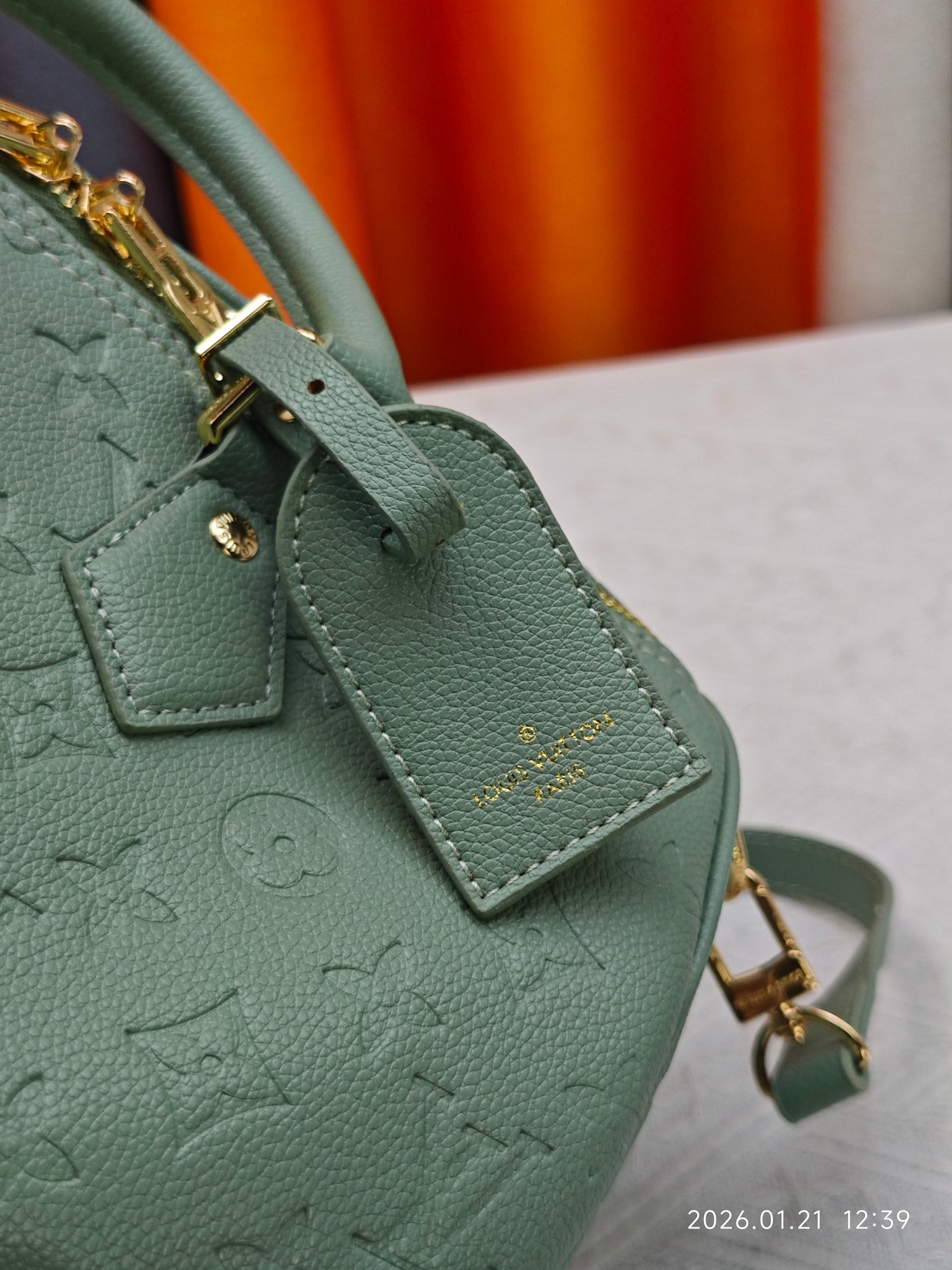 New Luxury LV Bag 9931