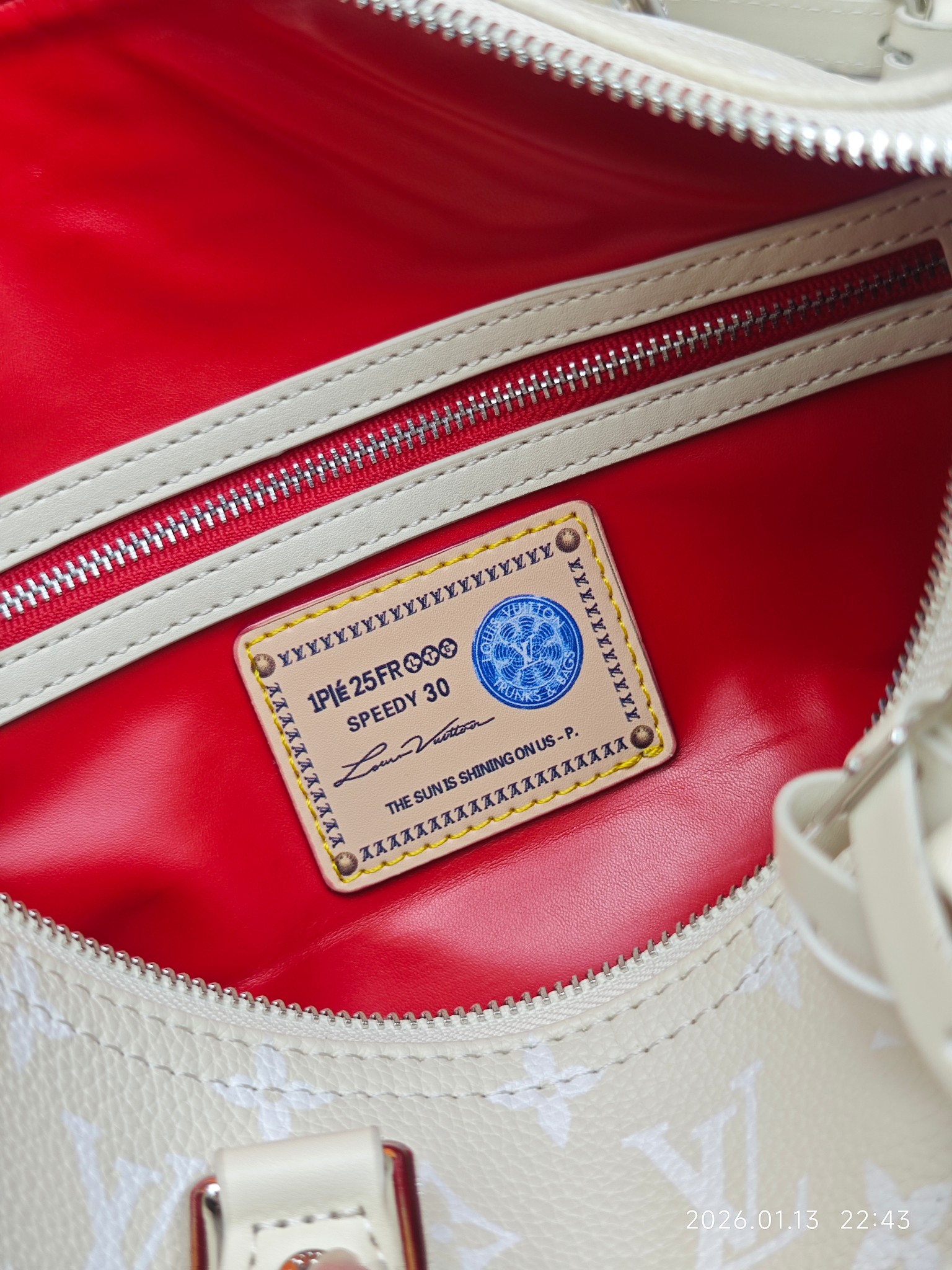 New Luxury LV Bag 9963