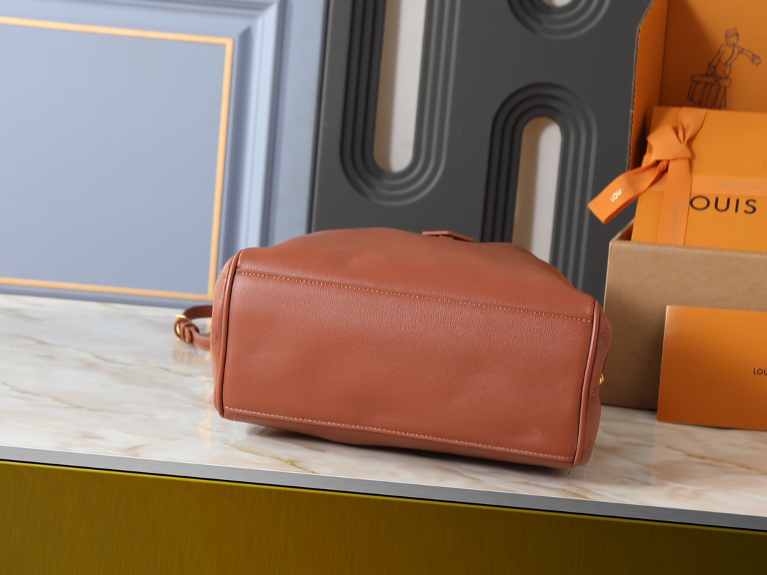 New Luxury LV Bag 9987