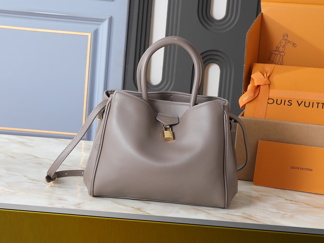 New Luxury LV Bag 9989