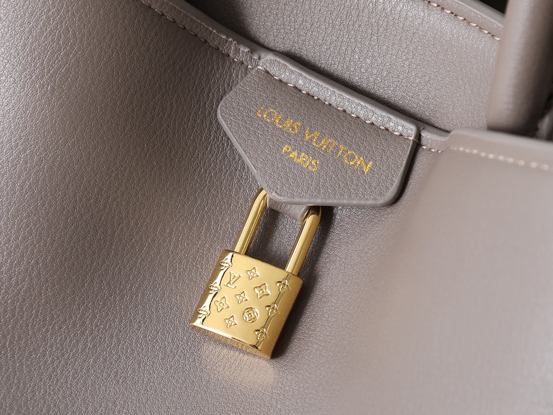 New Luxury LV Bag 9989