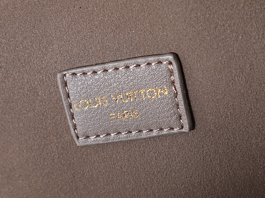 New Luxury LV Bag 9989