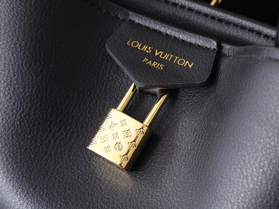 New Luxury LV Bag 9991