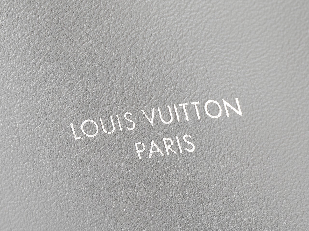 Carryall Vibe Mm Bag Gris Trianon Lambskin M12583
