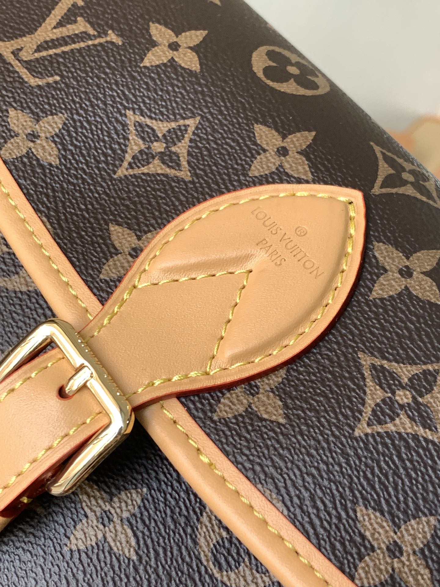 Diane Monogram Bag Black Strap M45985