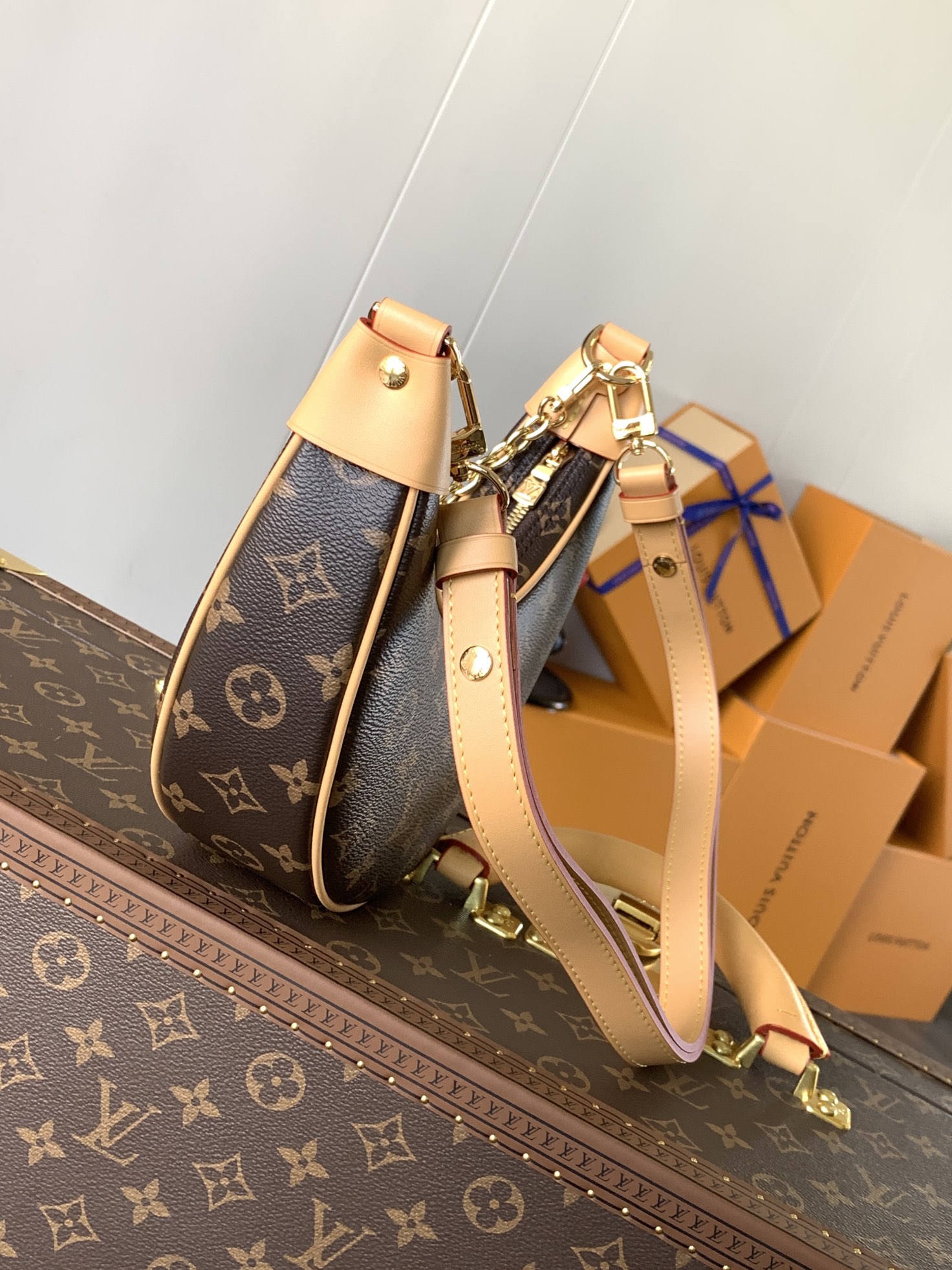 Loop Bag Monogram M81098